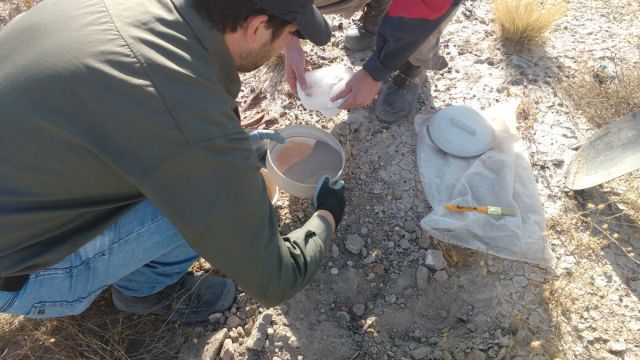 whatsapp-image-2017-01-27-at-8-33-18-am