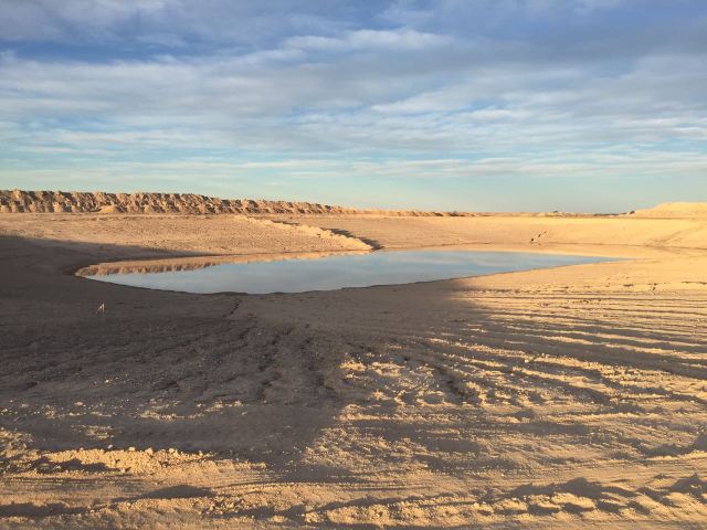 WhatsApp Image 2017-04-26 at 6.51.31 PM