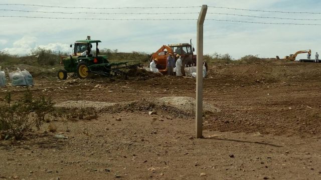 WhatsApp Image 2017-11-03 at 11.34.01 AM