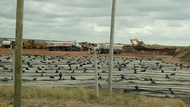 WhatsApp Image 2017-11-06 at 10.41.24 AM